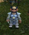 Argent quartermaster lights