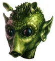Rodian head.jpg