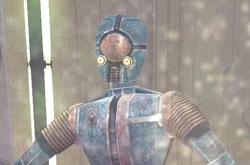C9-t91