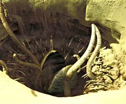 Grube Carkoon Sarlacc2.jpg