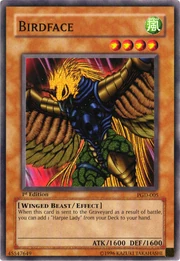Birdface-PGD-NA-C-1E