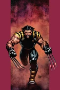 Ultimate X-Men Vol 1 41 Textless