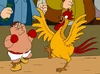Cockfight