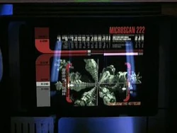 Synthetic pathogen