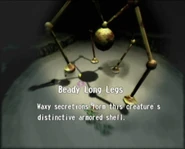 Reel2 Beady Long Legs