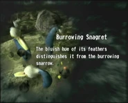 Reel4 Burrowing Snagret