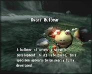 Reel6 Dwarf Bulbear