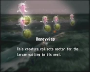 Reel12 Honeywisp