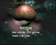 Reel17 Puffstool