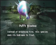 Reel18 Puffy Blowhog