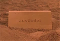 Janowski tombstone.jpg