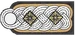 Nazi colonel epaulet