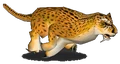 Cheetah2.png
