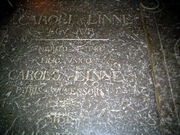 CarlvonLinne gravestone