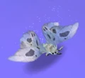 White moth.jpg