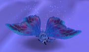 Blue moth