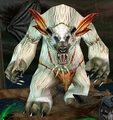 Moordo.jpg