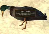 Duck Carcass.jpg