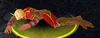 Dying Blood Elf