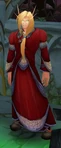 Magister Idonis