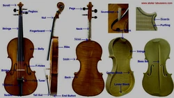 Violin reference 1