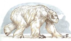 Wampa-woswfg