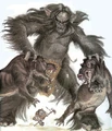 Gorax-woswfg.jpg