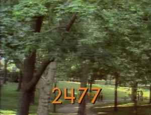 2477.jpg