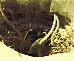 Sarlacc