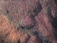 Tritanium ore, Obsession.jpg