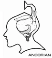 Andorian brain diagram.jpg