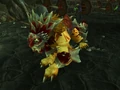 Epic-Red-Windrider.jpg