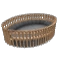 B.colosseum.png
