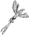 Andorian atlirith eagle.jpg
