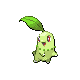 Chikorita DP