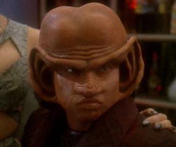 Nog (mirror)