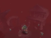 The Hidden Reef