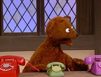 Ewbells-babybear.jpg