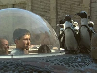 Ewpenguins-film
