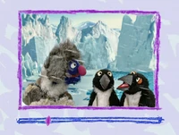 Ewpenguins-grover