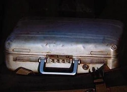 Halliburton Case