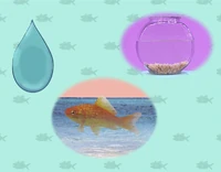 Ewfish-quiz.jpg