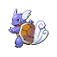 Wartortle DP