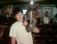 Film.AnimalAuction02.jpg