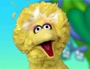Big Bird
