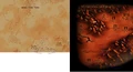 Thumbnail for version as of 03:58, March 2, 2007