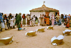 Iridimi cookers in camp