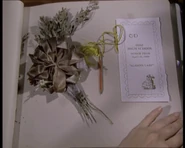 Scrapbook1