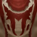 Mag'har Tabard.jpg