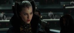 Amidala MCA